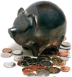 [Piggy Bank]