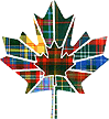 [Tartan coloured maple leaf]